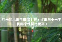 红米和小米手机哪个好（红米与小米手机哪个性价比更高）