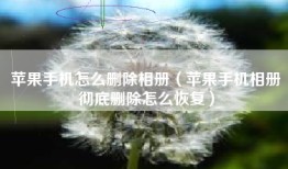 苹果手机怎么删除相册（苹果手机相册彻底删除怎么恢复）