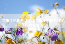 苹果手机相机坏了（苹果手机相机坏了如何修复）