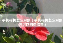 手机相机怎么对焦（手机相机怎么对焦才可以拍得清楚）