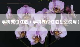 手机支付红包（手机支付红包怎么使用）