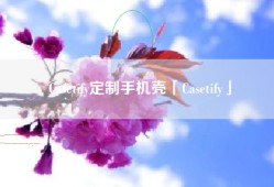 Casetify定制手机壳「Casetify」