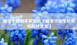 蜡笔小新的手机壁纸（蜡笔小新手机壁纸图片大全）