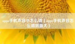 oppo手机声音小怎么调（oppo手机声音怎么调到最大）