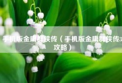 手机版金庸群侠传（手机版金庸群侠传3攻略）