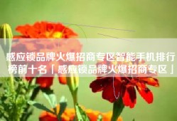 感应锁品牌火爆招商专区智能手机排行榜前十名「感应锁品牌火爆招商专区」