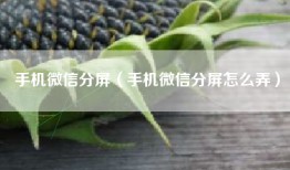 手机微信分屏（手机微信分屏怎么弄）