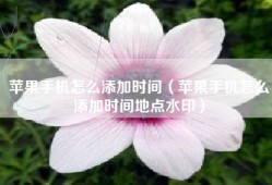 苹果手机怎么添加时间（苹果手机怎么添加时间地点水印）