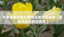 苹果桌面设置在哪里苹果手机桌面「苹果桌面设置在哪里」