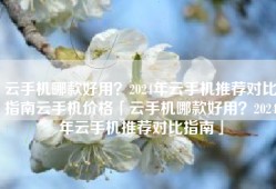 云手机哪款好用？2024年云手机推荐对比指南云手机价格「云手机哪款好用？2024年云手机推荐对比指南」