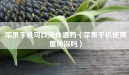 苹果手机可以测体温吗（苹果手机能测量体温吗）