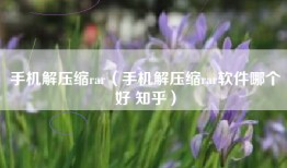 手机解压缩rar（手机解压缩rar软件哪个好 知乎）