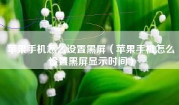 苹果手机怎么设置黑屏（苹果手机怎么设置黑屏显示时间）