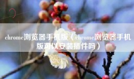 chrome浏览器手机版（chrome浏览器手机版可以安装插件吗）