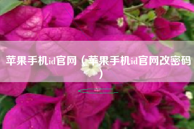 苹果手机id官网（苹果手机id官网改密码）