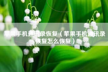 苹果手机通讯录恢复（苹果手机通讯录恢复怎么恢复）