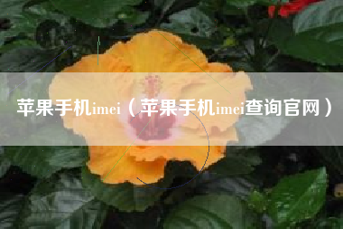 苹果手机imei（苹果手机imei查询官网）