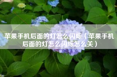 苹果手机后面的灯怎么闪烁（苹果手机后面的灯怎么闪烁怎么关）