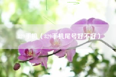 829手机（829手机尾号好不好）